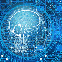 webgrafica|A.I. Intelligenza Artificiale